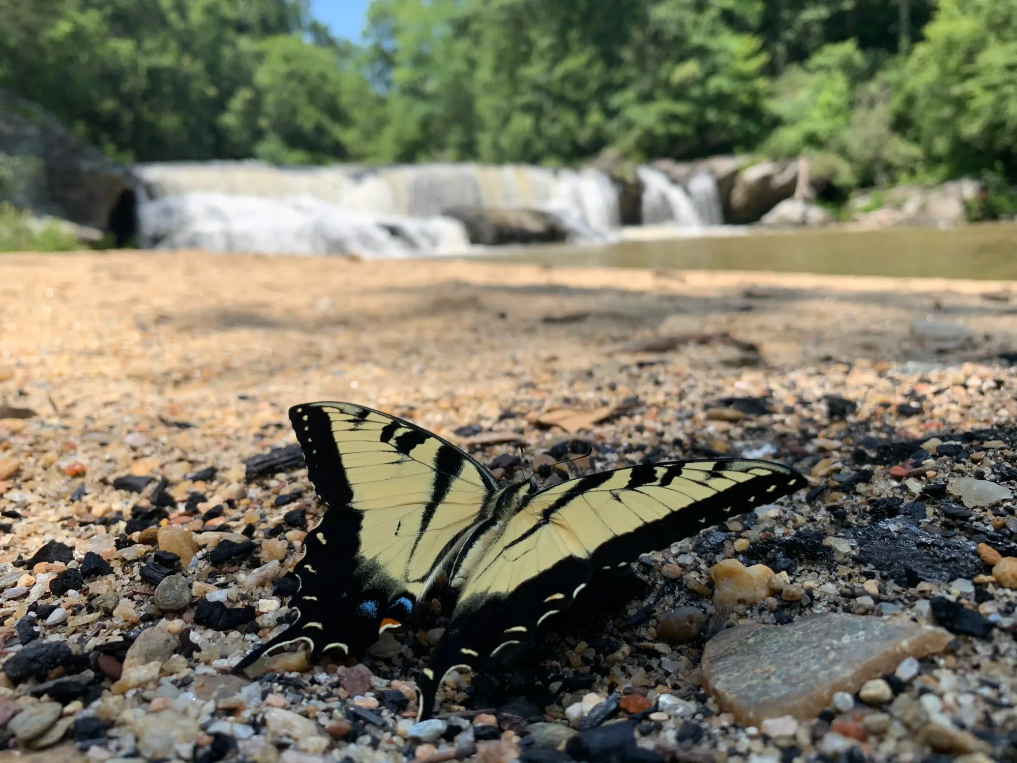 Being Nice Was NEVER the Hard Part - Being Nice is Easy (Part 1)