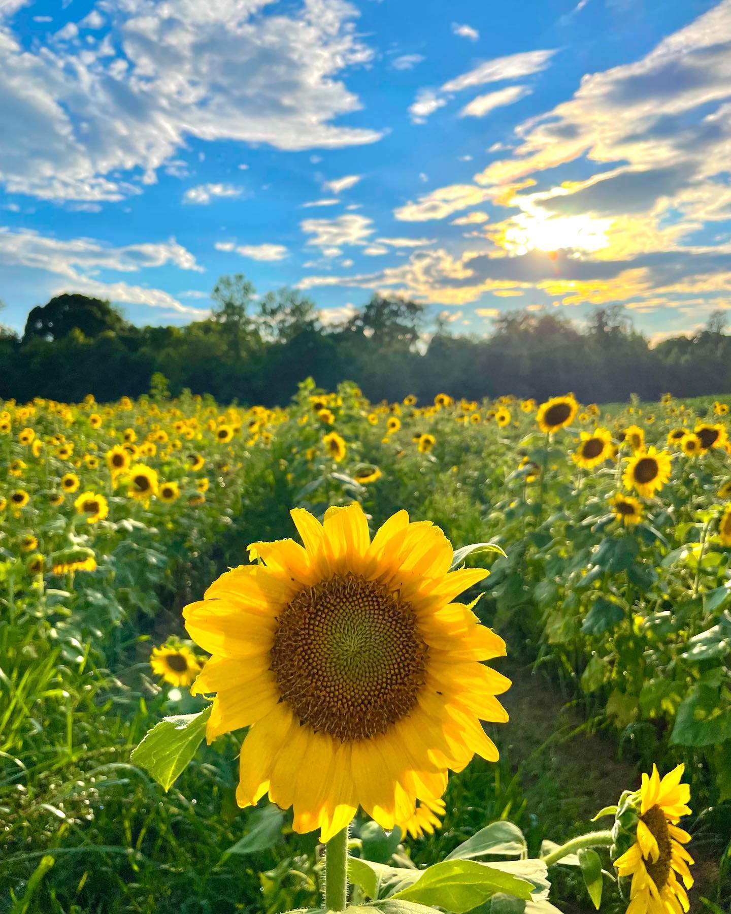 The Hidden Benefits of Being Taken Advantage Of